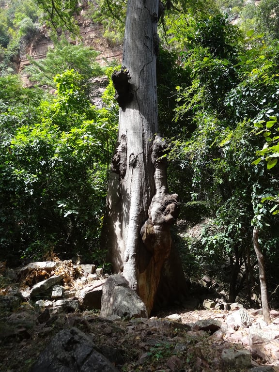 Dindefelo Falls