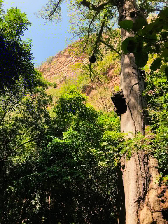 Dindefelo Falls