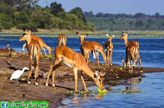 Dinder National Park