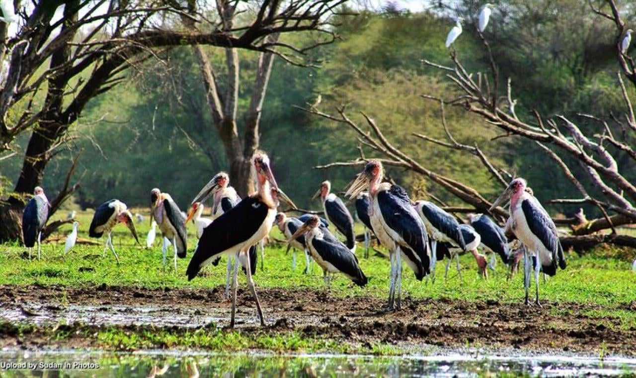 Dinder National Park