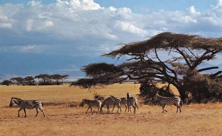 Dinder National Park