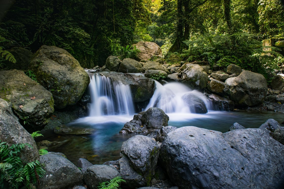 Ditumabo Mother Falls