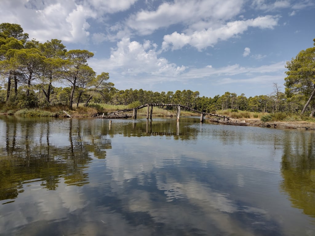 Divjakë-Karavasta National Park