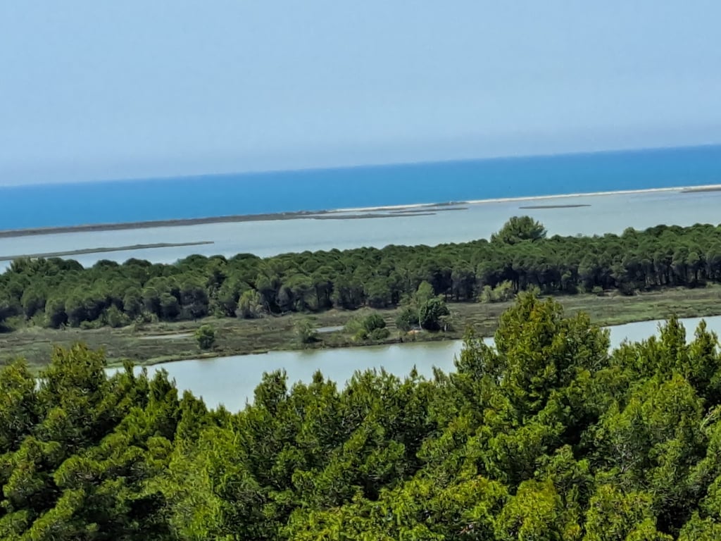 Divjakë-Karavasta National Park