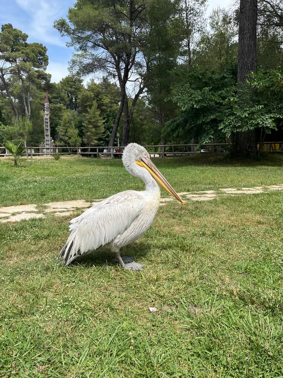 Divjakë-Karavasta National Park
