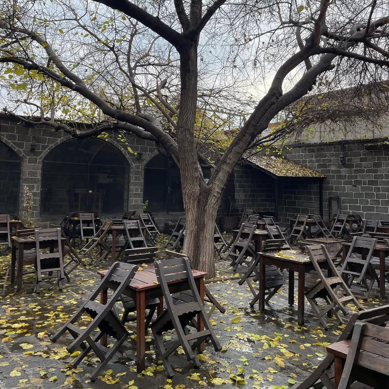 Sülüklü Han