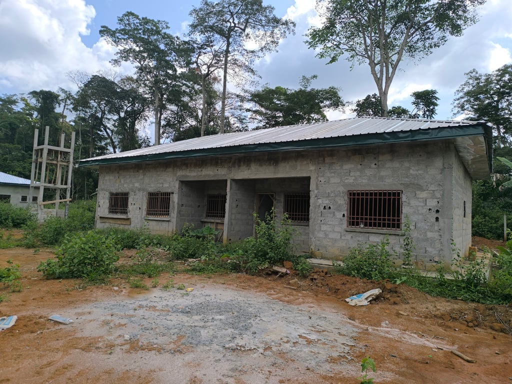 Dja Faunal Reserve