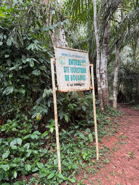 Dja Faunal Reserve