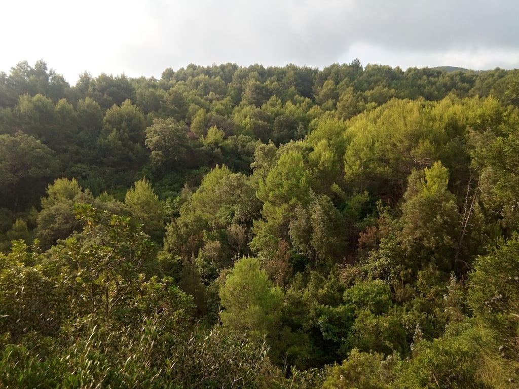 Djebel Chenoua