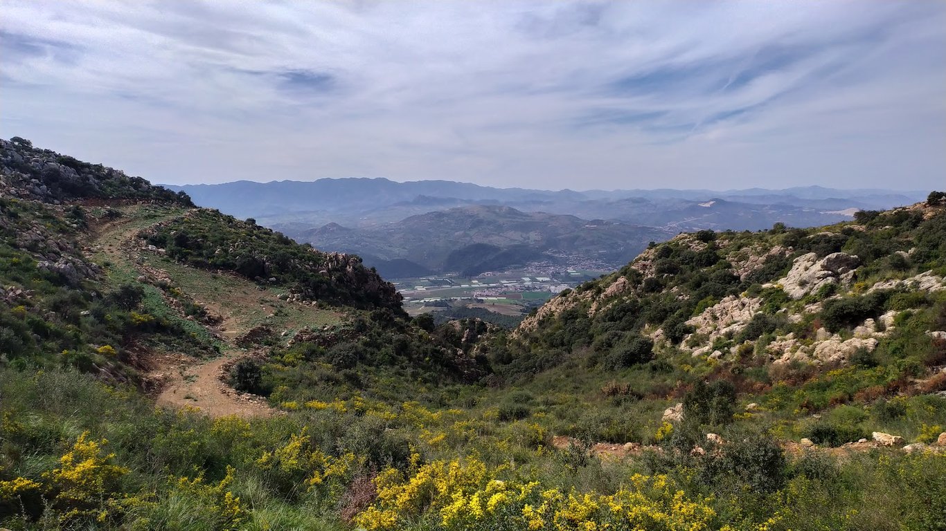 Djebel Chenoua