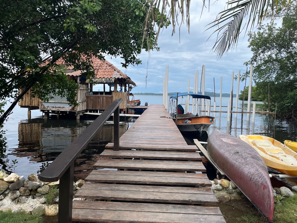 Dolphin Bay