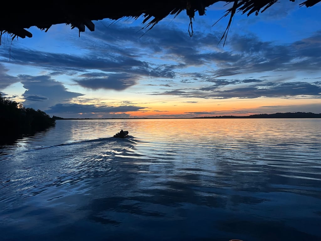 Dolphin Bay