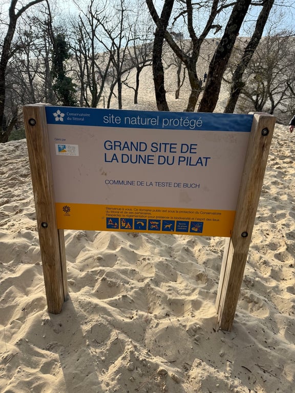 Dune of Pilat
