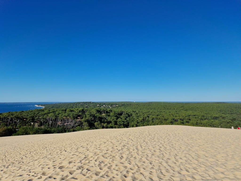 Dune of Pilat