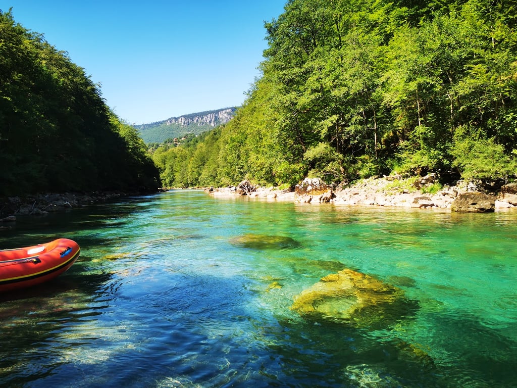 Đurđevića Tara Bridge