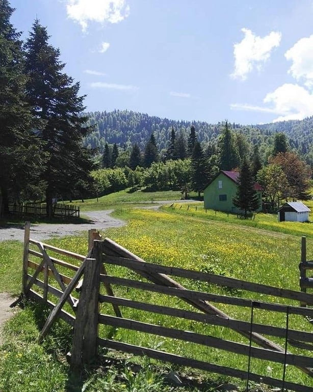 Odayeri Yaylası