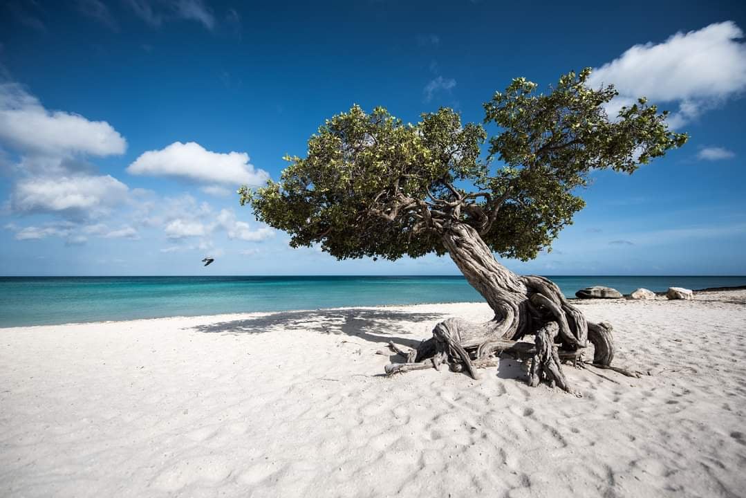 Eagle Beach