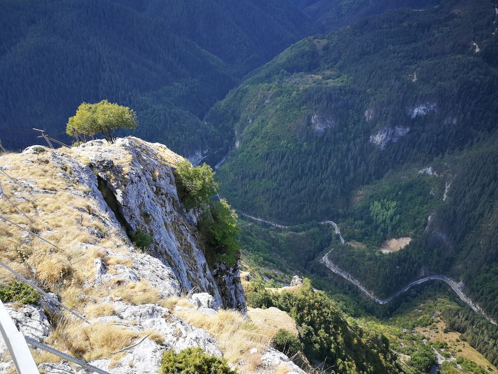 Eagle’s Eye Platform