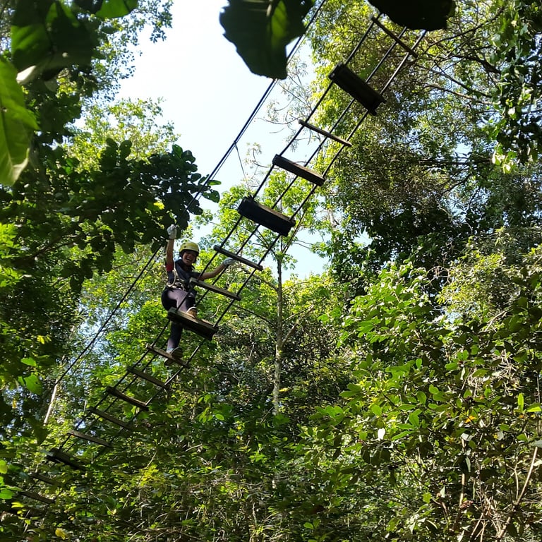 Eco Reserva Mbatoví Canopy Bridges