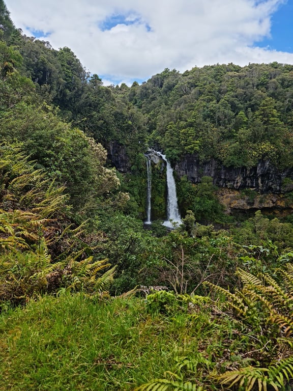 Egmont National Park