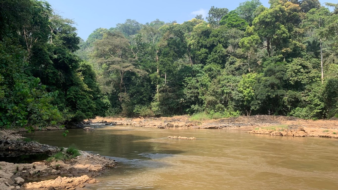 Ekom-Nkam Waterfalls