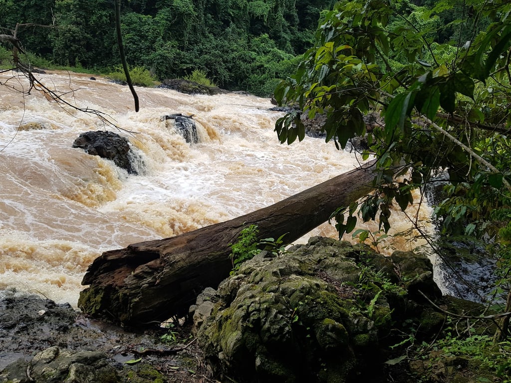 Ekom-Nkam Waterfalls