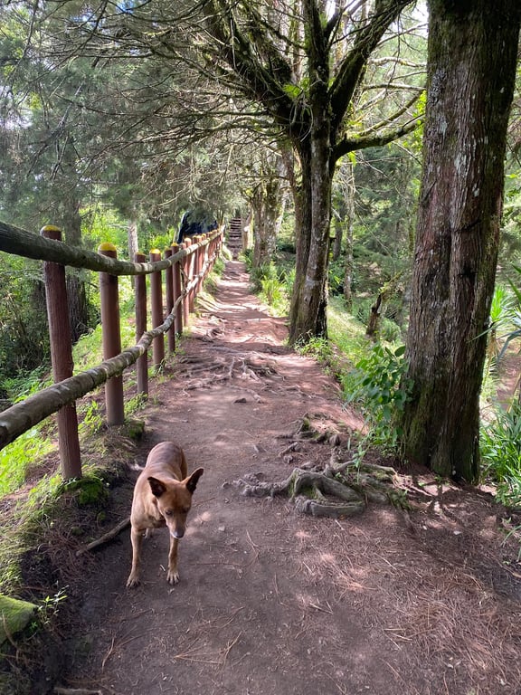 El Boquerón National Park