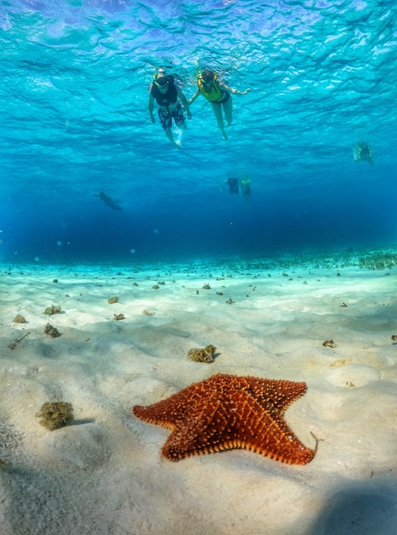 El Cielo Starfish Beach