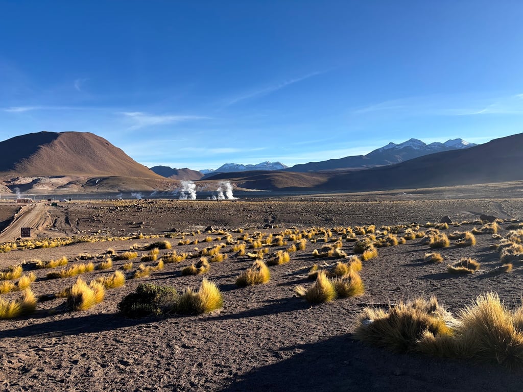 El Tatio Geysers