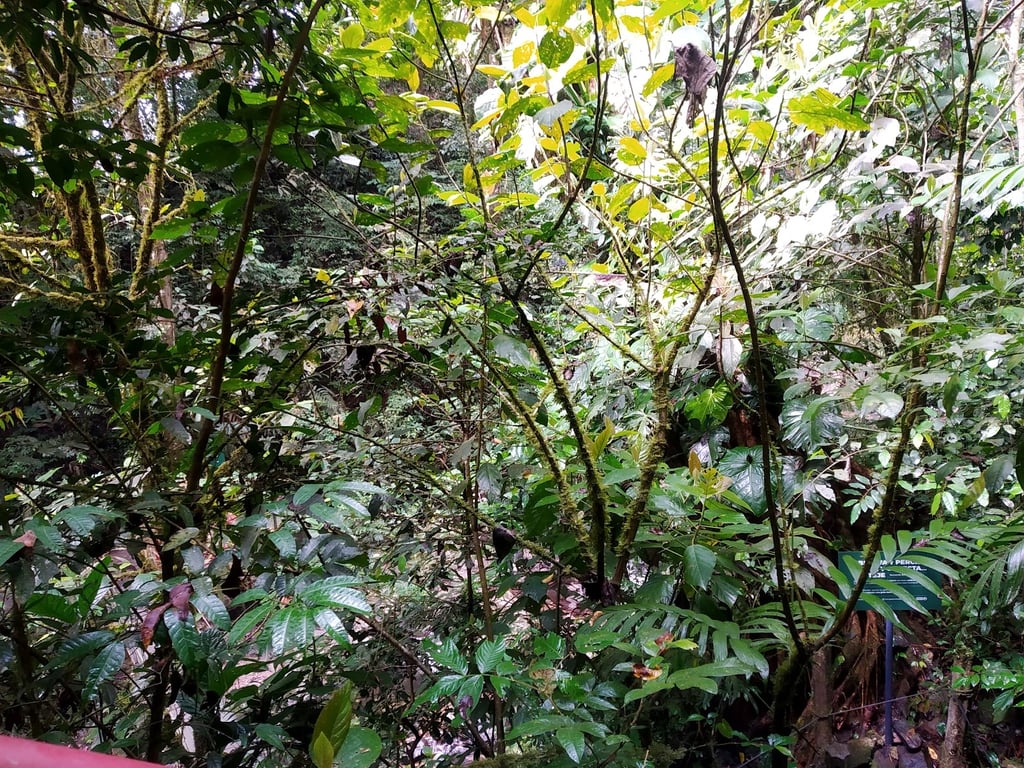 El Valle Chorro El Macho