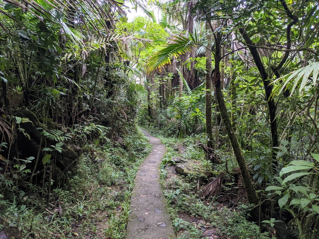 El Yunque National Forest