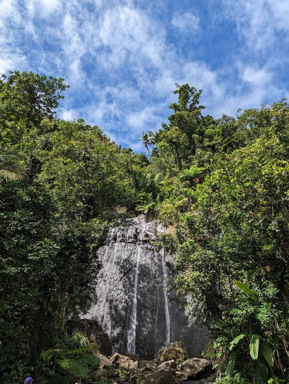 El Yunque National Forest