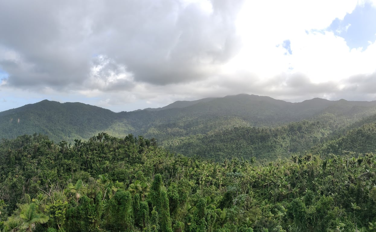 El Yunque National Forest