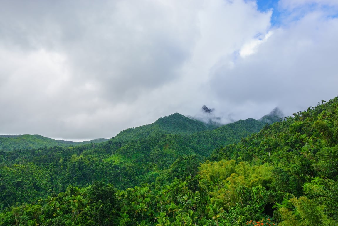 El Yunque National Forest