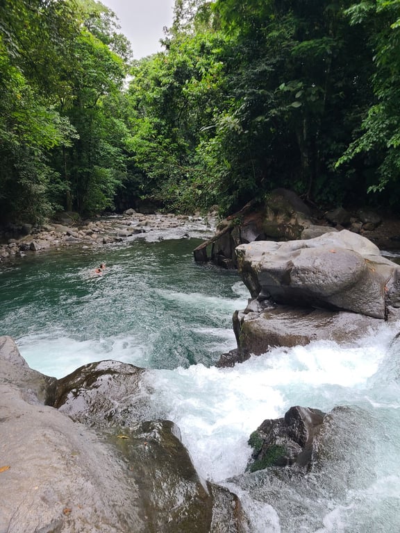 El Salto Rope Swing