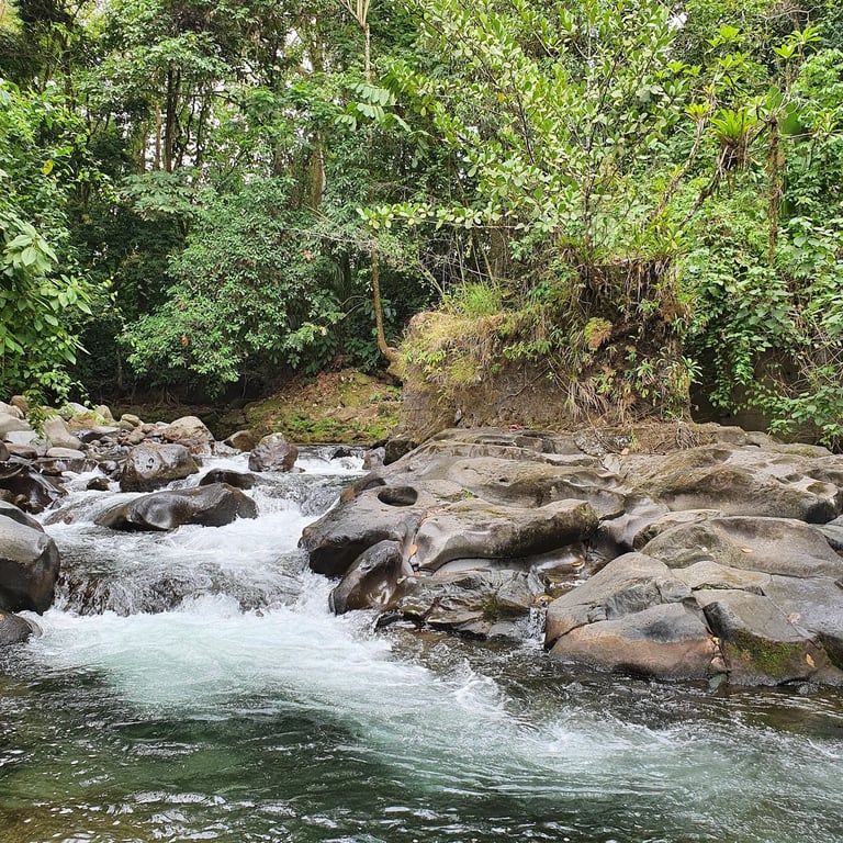 El Salto Rope Swing