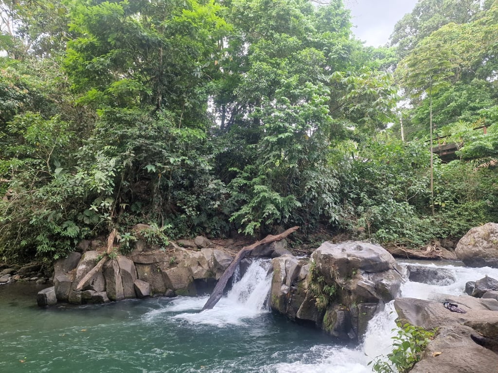El Salto Rope Swing