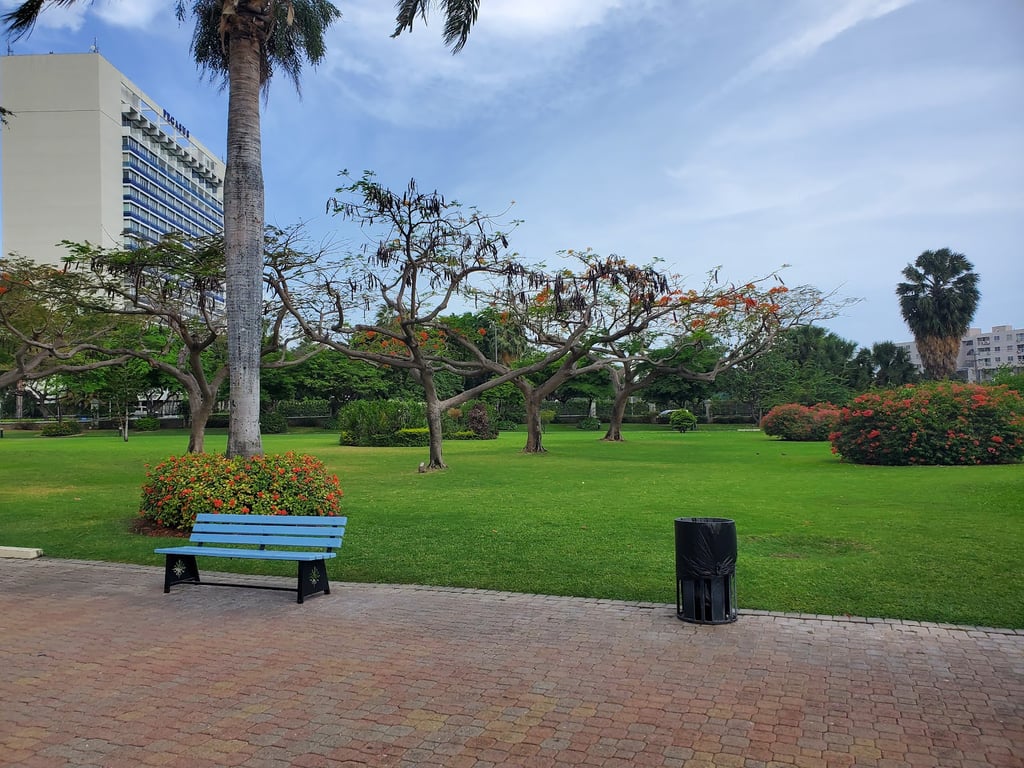 Emancipation Park