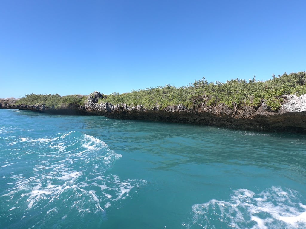 Emerald Sea
