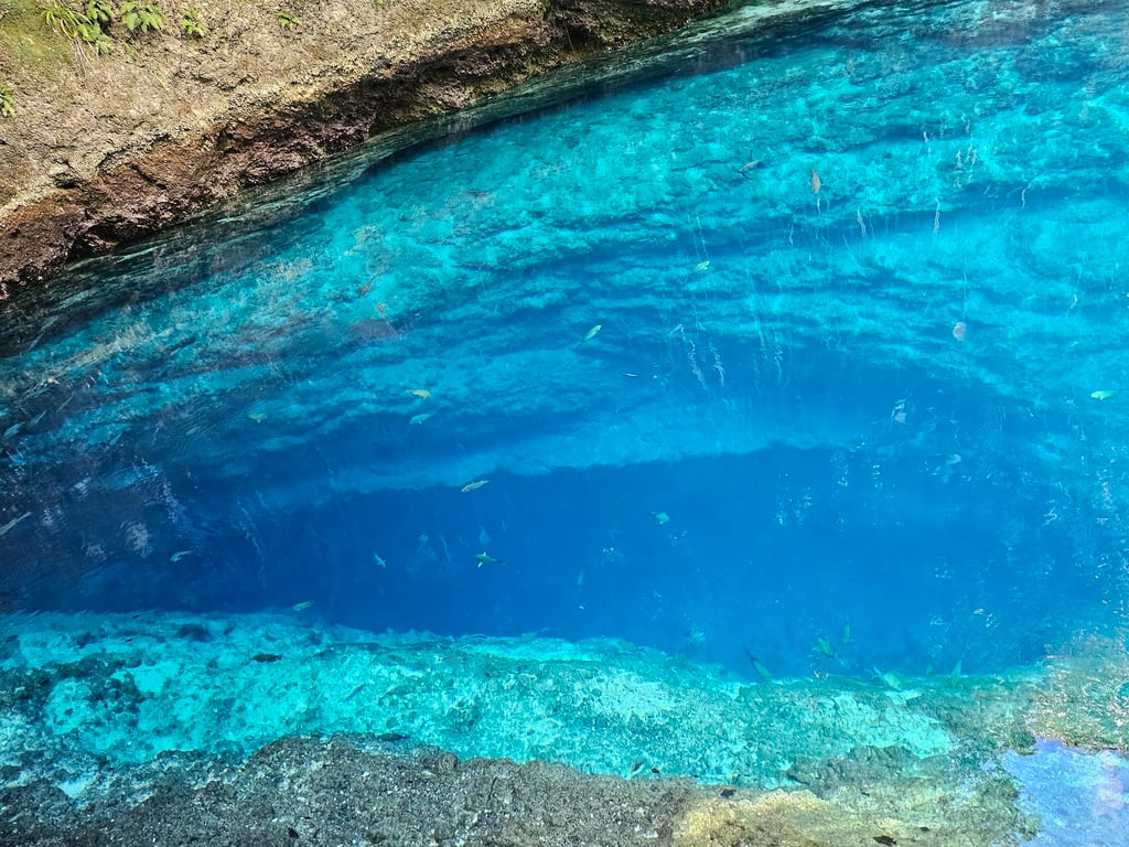 Enchanted River
