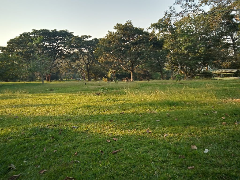 Entebbe Botanical Gardens