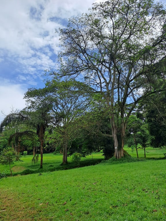 Entebbe Botanical Gardens
