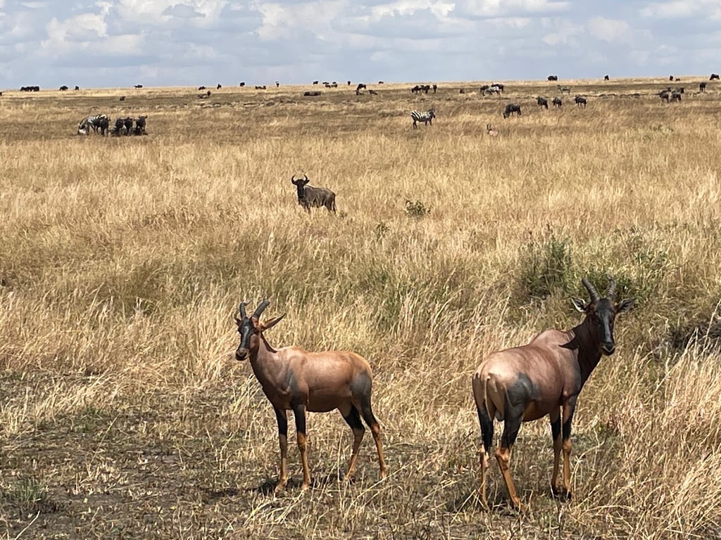 Serengeti National Park