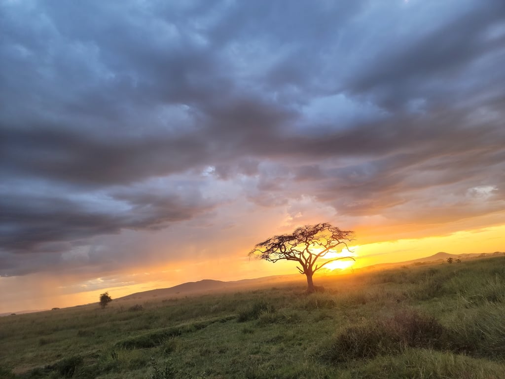Serengeti National Park