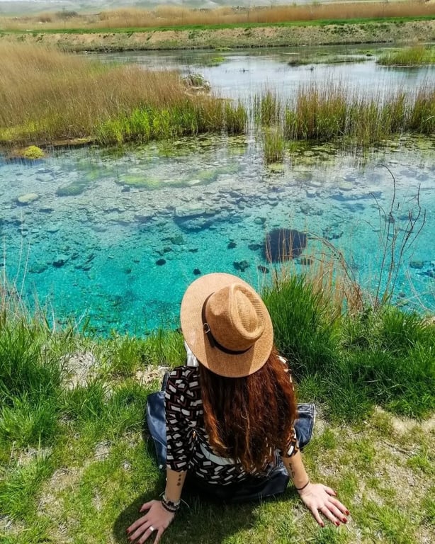 Sakarya Başı Piknik Alanı