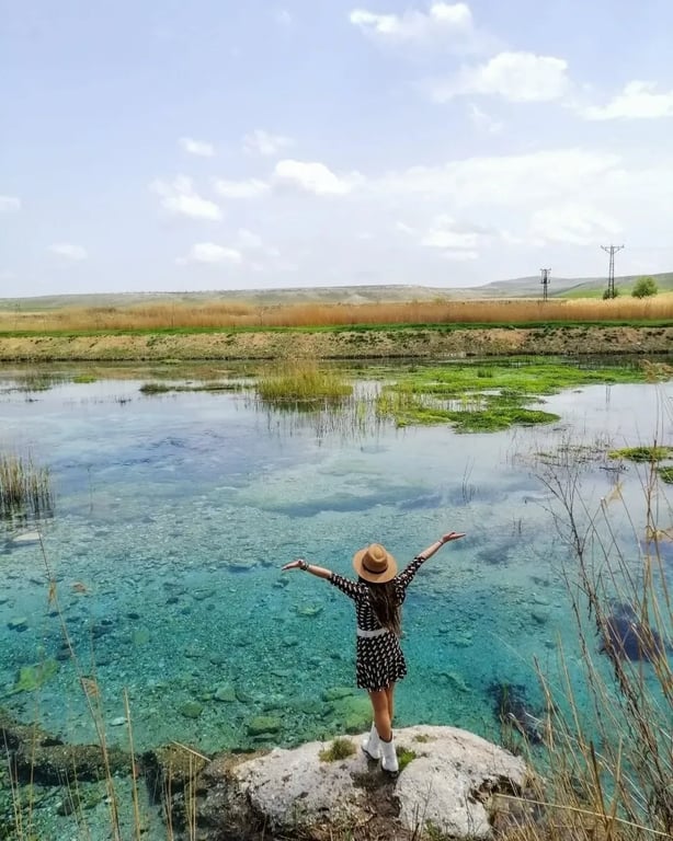 Sakarya Başı Piknik Alanı
