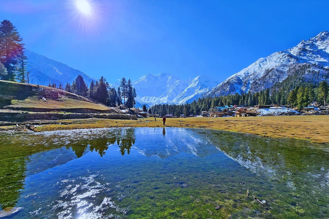 Fairy Meadows