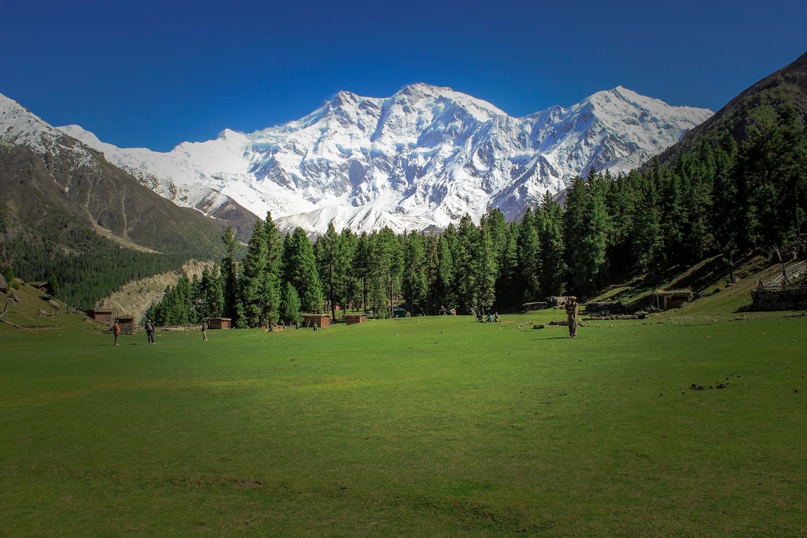 Fairy Meadows