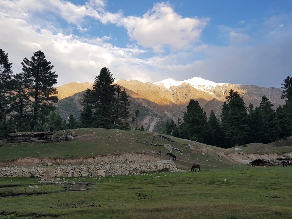 Fairy Meadows