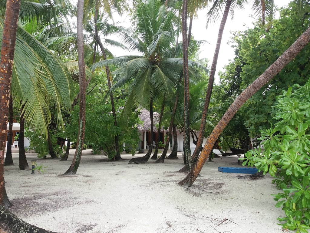 Fihalhohi Island